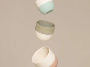 Ceramic Plant Pots